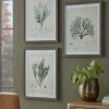 Three Botanical Wall Art Prints