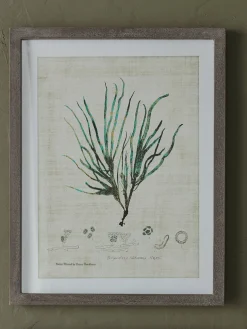 Three Botanical Wall Art Prints