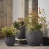 Three Celano Planters