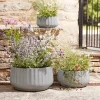 Three Dove Grey Fluted Planters - Small