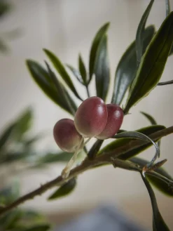 Three Faux Fruiting Olive Sprays