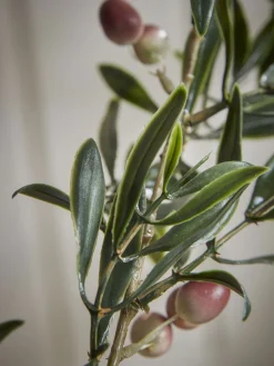 Three Faux Fruiting Olive Sprays
