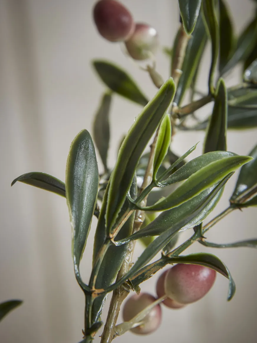 Three Faux Fruiting Olive Sprays