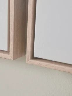 Three Framed Coral Canvases