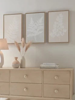 Three Framed Fern Canvases