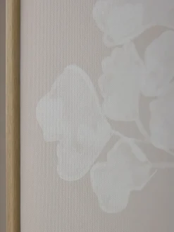 Three Framed Fern Canvases