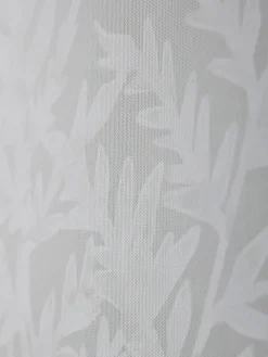 Three Framed Fern Canvases