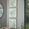 Three Framed Leaf Prints