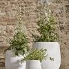 Three Geometric Etched Planters - Light Grey