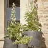 Three Geometric Etched Planters - Dark Grey