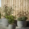 Three Ribbed Concrete Planters