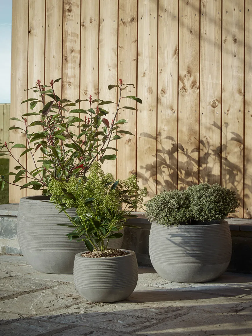 Three Ribbed Concrete Planters