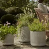 Three Ribbed Planters