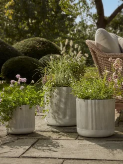 Three Ribbed Planters