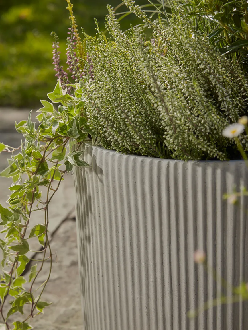 Three Ribbed Planters