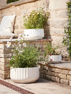 Three Sand Fluted Planters - Small