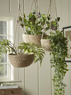 Three Seagrass Hanging Planters