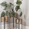 Three Standing Brass Planters