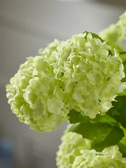 Three Sumptuous Faux Snowball Sprays - Green