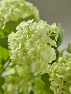 Three Sumptuous Faux Snowball Sprays - Green