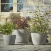 Three Traditional Concrete Planters