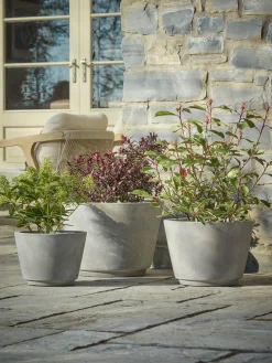 Three Traditional Concrete Planters