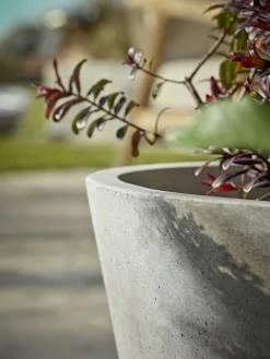 Three Traditional Concrete Planters