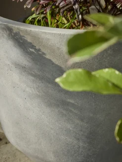 Three Traditional Concrete Planters