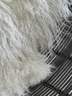 Tibetan Curly Sheepskin - Ivory