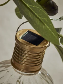 Twelve Fluted Solar Bulbs