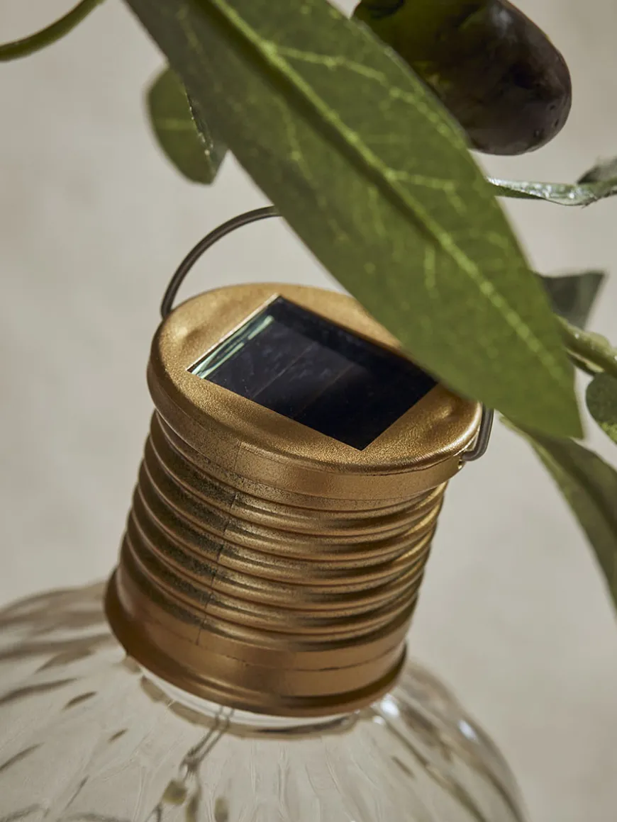 Twelve Fluted Solar Bulbs