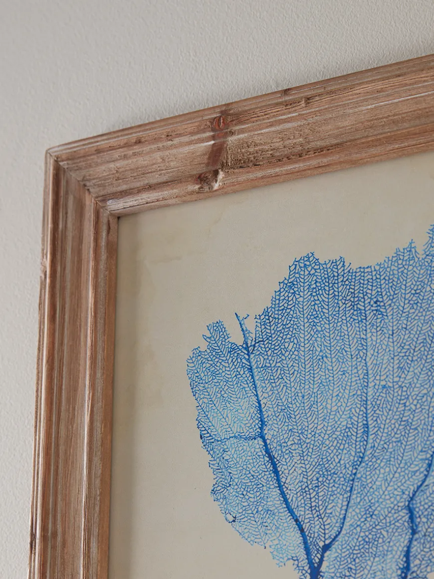 Two Blue Coral Framed Prints