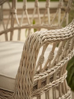 Two Decorative Weave Dining Chairs