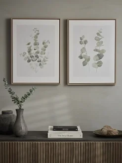 Two Framed Eucalyptus Prints