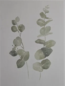 Two Framed Eucalyptus Prints