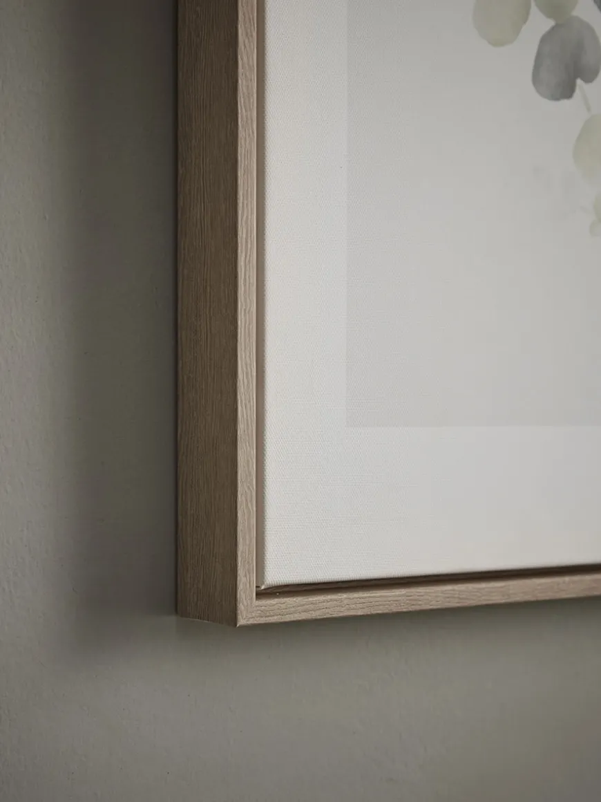 Two Framed Eucalyptus Prints