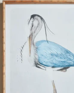 Two Heron Framed Prints