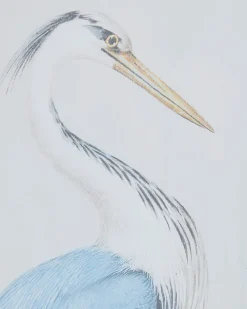 Two Heron Framed Prints