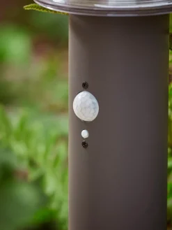 Two Rusper Solar Stake Light