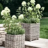 Two Square Rattan Planters