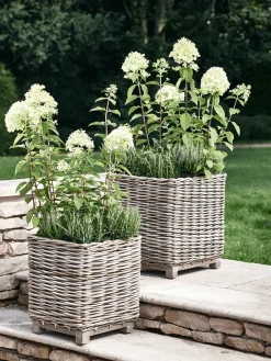Two Square Rattan Planters