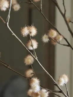 Two Tone Pom Pom Spray